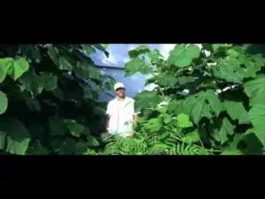 Video: Villa - Teardrop Mercedes